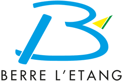 logo le permis de conduire - aide de berre l'etang